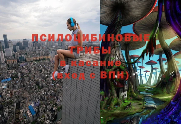 а пвп мука Алзамай