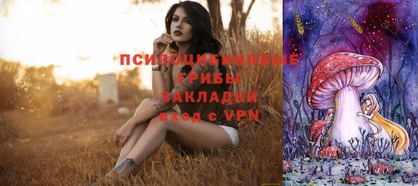 марки nbome Алексеевка