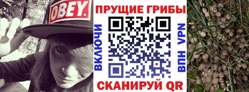 Галлюциногенные грибы Psilocybine cubensis  Еманжелинск 